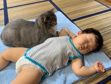 ܂ꂽL̃GE݂݂ƈꏏɐĂ1΂̑q