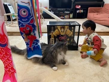 ܂ꂽL̃GE݂݂ƈꏏɐĂ1΂̑q