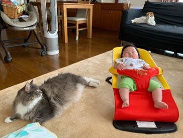 ܂ꂽL̃GE݂݂ƈꏏɐĂ1΂̑q