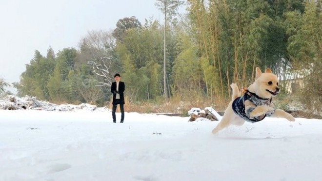 �����傳��ƃ|������