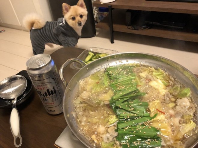 ����ƃ|������