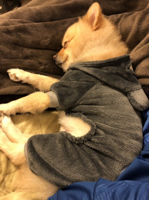 �X���X������|������