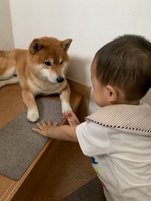 �����낤�����V�тɗU�����Ƃ���핪