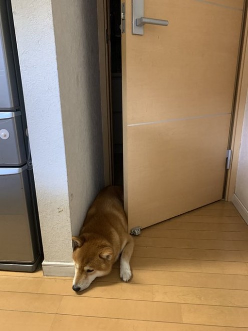 ����I�ɋ��܂�Ă��낮��