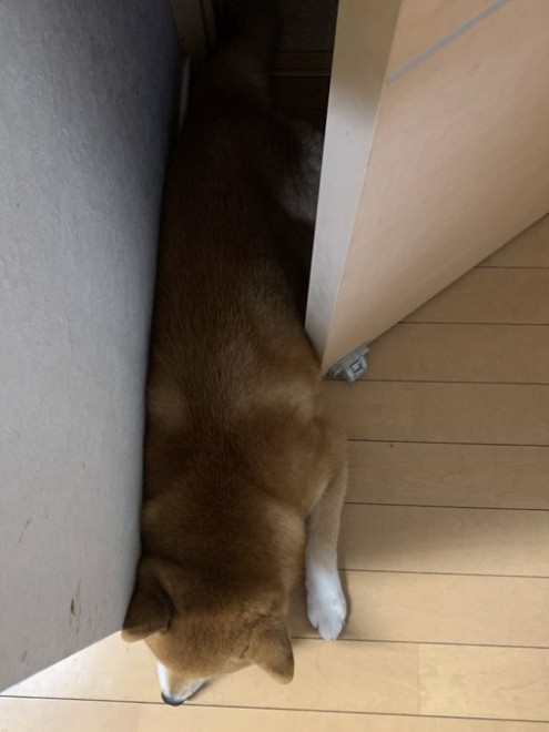 ����I�ɋ��܂�Ă��낮��