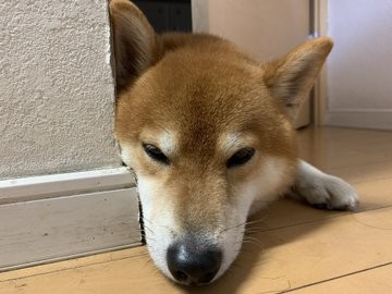 ����I�ɋ��܂�Ă��낮��