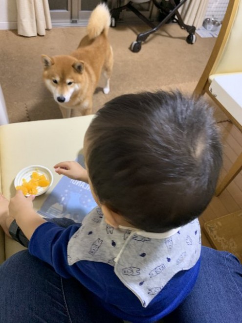 �݂��񂩂��c�Ǝv����