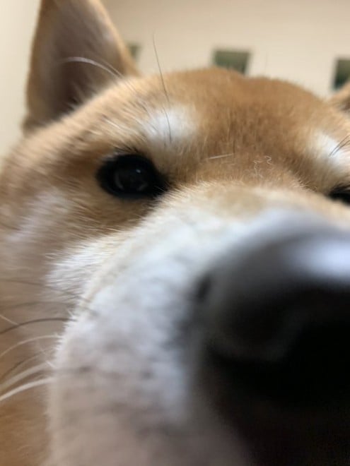 �L�c�߂̃X�g���b�`�����Ă���ꂵ��ł�Ǝv�����̂��A������̖������m�F���Ă���錢