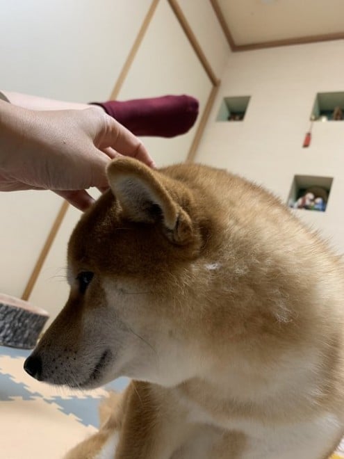 �L�c�߂̃X�g���b�`�����Ă���ꂵ��ł�Ǝv�����̂��A������̖������m�F���Ă���錢