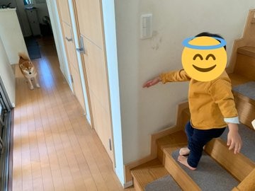 �Z�M��2�K�ŗV�т����핪�ƁA�S�R���C����Ȃ���