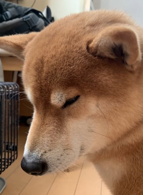 �����̕\��Ƃ͂܂��ɂ��̎�