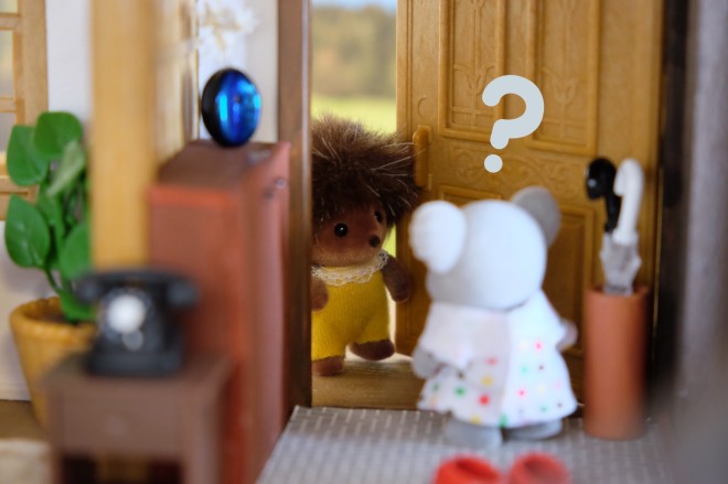 u߂񂭂`vuHvi摜񋟁FKanaFettj