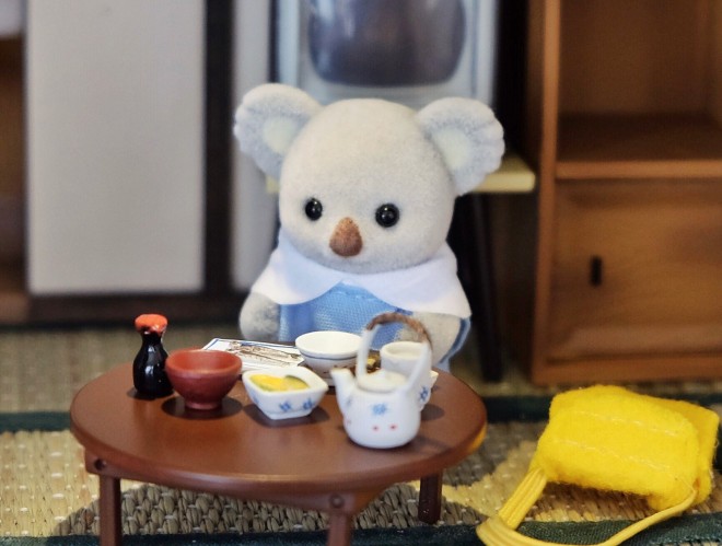 ܁[Ii摜񋟁FKanaFettj