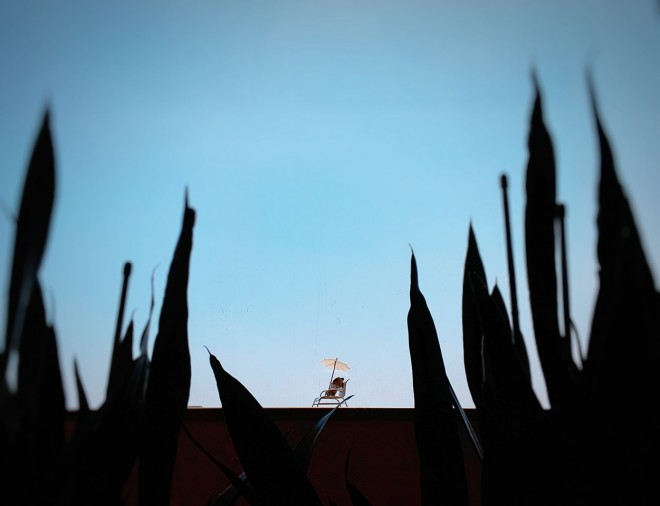 13̃oJXi摜񋟁FG肷j