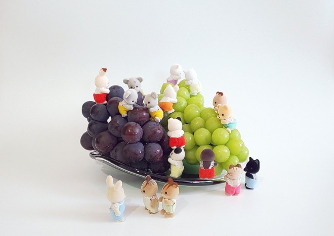 uhEɌQVojA̐Ԃ񂽂i摜񋟁FG肷j