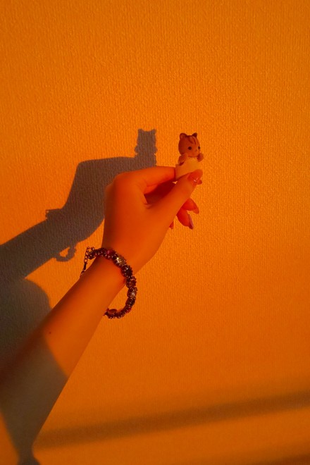 [fB[ȃX̐Ԃi摜񋟁FG肷j