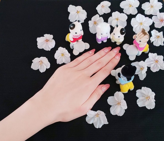 lCƃVojA̐Ԃi摜񋟁FG肷j