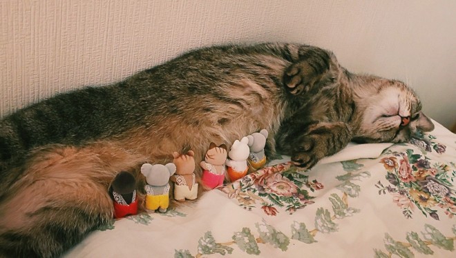 u܂邼cvi摜񋟁FG肷j