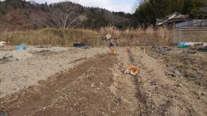 ͂Ⴍē̎wʂɊ撣AVlƈ