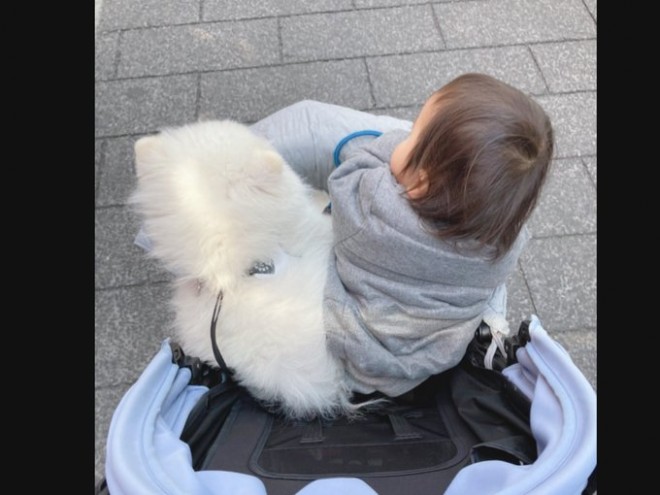 ������ƃ��C�����