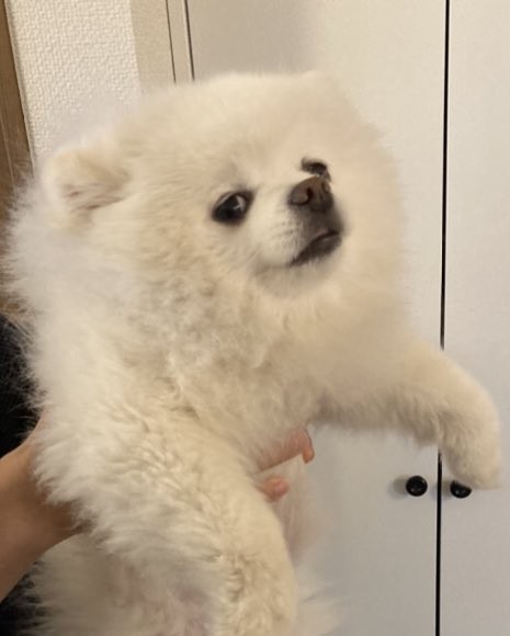 �Ȃ�Ƃ������Ȃ��\��