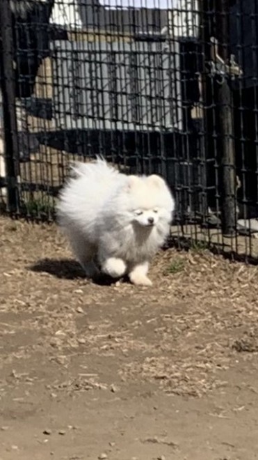 �h�b�N�����ŕ������C�����