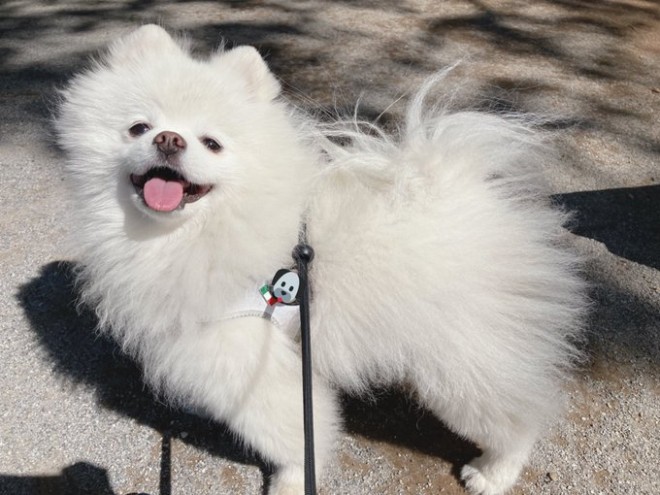 �s������y�����������C�����