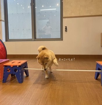 �������{�݂Ŋ撣���Ă��郏�������