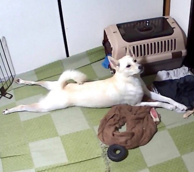 ���̂����������������