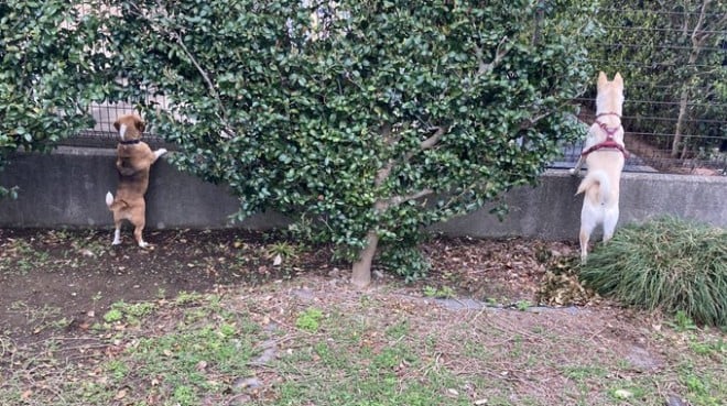 ���F�B��҂A�����������