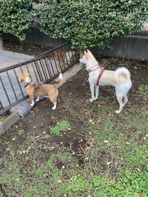 ���F�B��҂A�����������