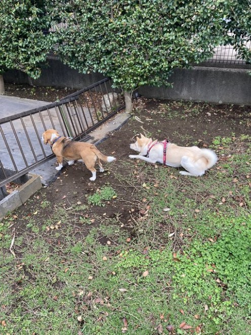 ���F�B��҂A�����������