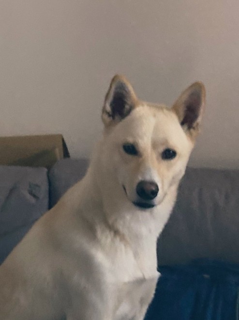 ���΂ނ����������