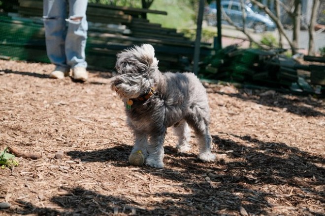 �O�ɏo��ƁA���ɂӂ��ꂪ���ȃW�F�X����