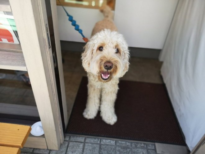 �ڂ������Ă��鎞�̃u���[�X����