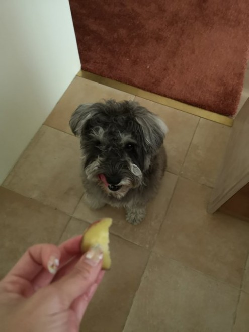 �����������炢�����ăE�Y�E�Y���Ă��郏�������