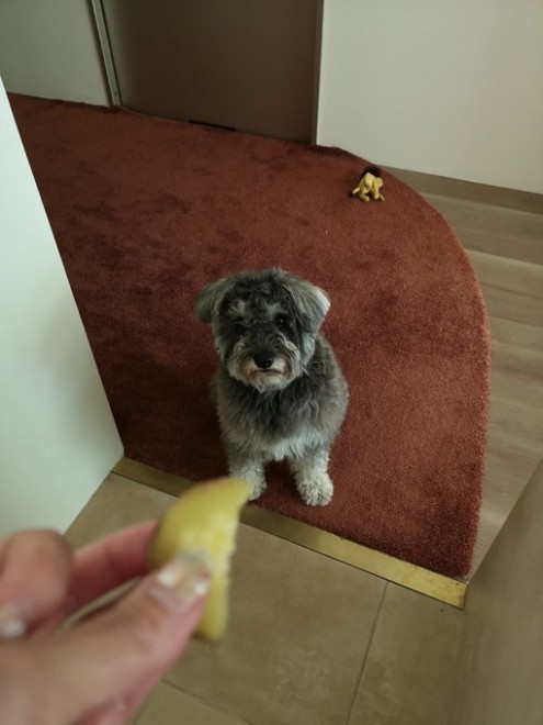 �ڂ��N���N�����Ă���W�F�X�N