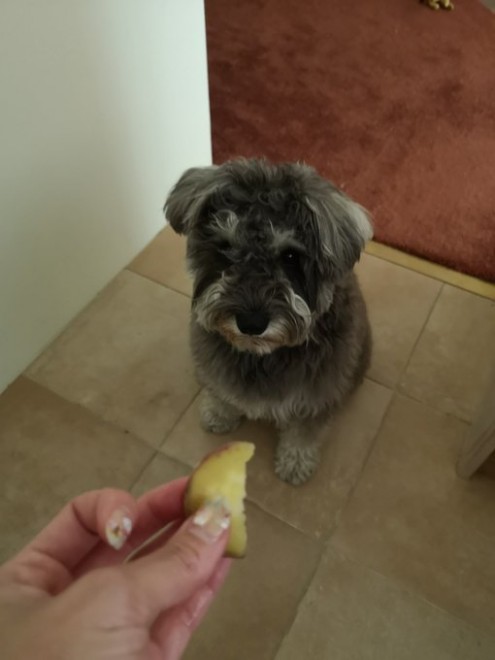 �����������炢�����ăE�Y�E�Y���Ă��郏�������