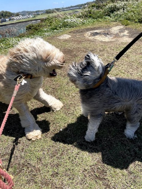 �����傳��ƊC�ӂɎU���ɂ���2�C