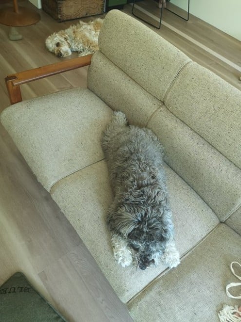 �W�F�X����