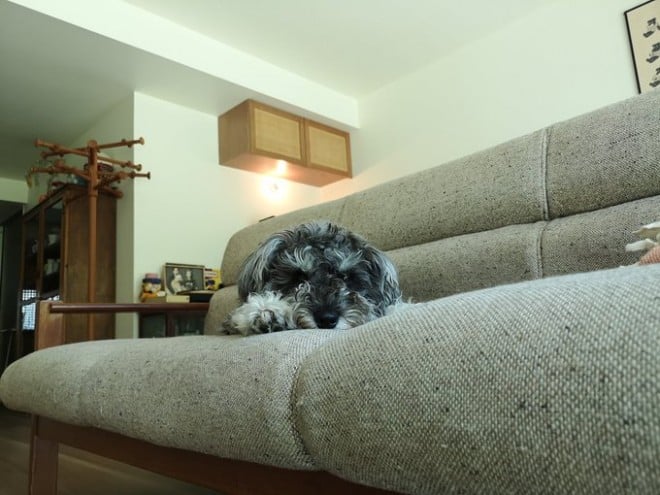 �W�F�X����