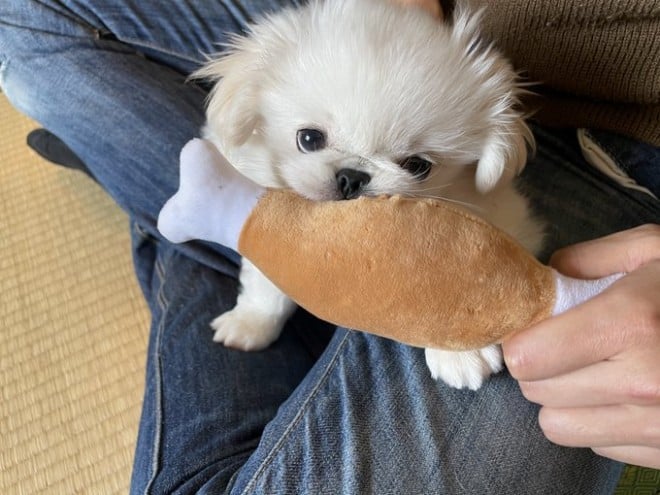 �u2�����Łw�}���K���Ƃ�������������΁x�ɂȂ��Ă邶���v