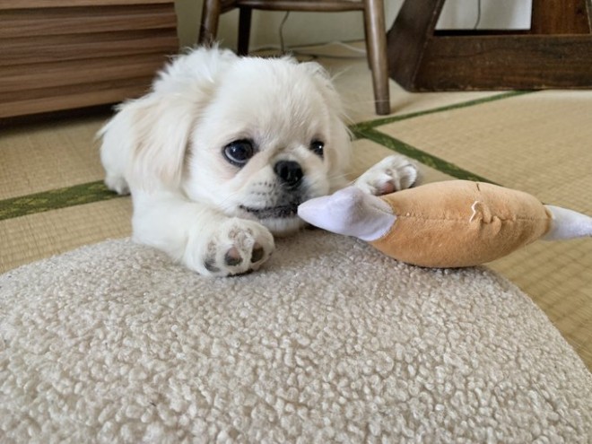 �u2�����Łw�}���K���Ƃ�������������΁x�ɂȂ��Ă邶���v