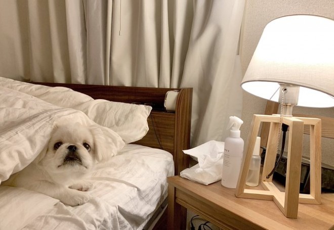 ���ɂ��т��ĕz�c�ɓ����Ă������ǁA�Ȃ������֌W�̃e�B�b�V���ɂ܂ŕ|���郀�[�`��