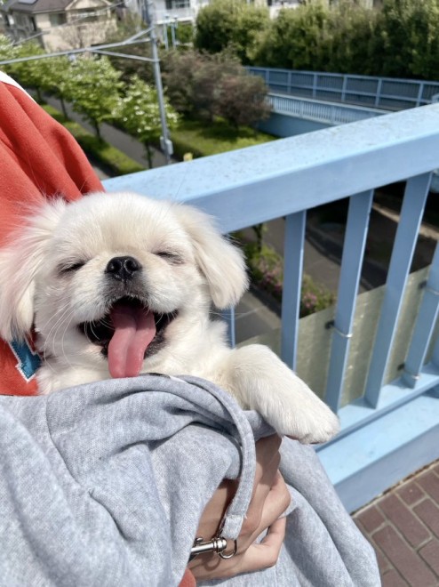 �u�����ƍK���ɐ����Ă��炤���A���[�`���v