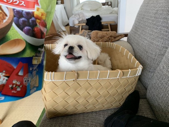 �����傳��u�߂����Ꭹ���̂��тƊ��Ⴂ���ĂċC�܂����v