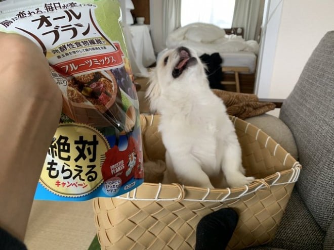 �߂����Ꭹ���̂��тƊ��Ⴂ���ĂċC�܂���