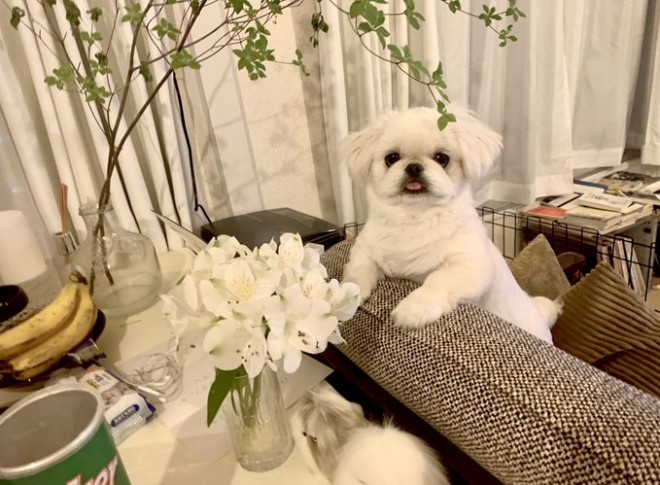 �u�Ԃ������錢 ���[�`���v