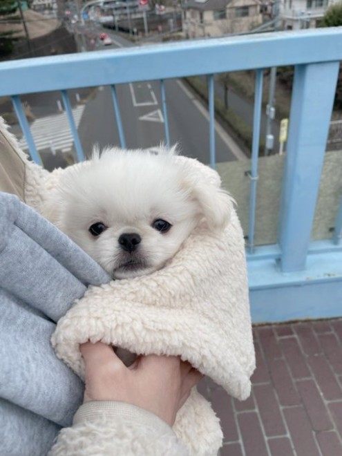 ����ȂɊO��|�����Ă��Ԃ����2�����ł���Ȃɂ��m���m���Ɂ�