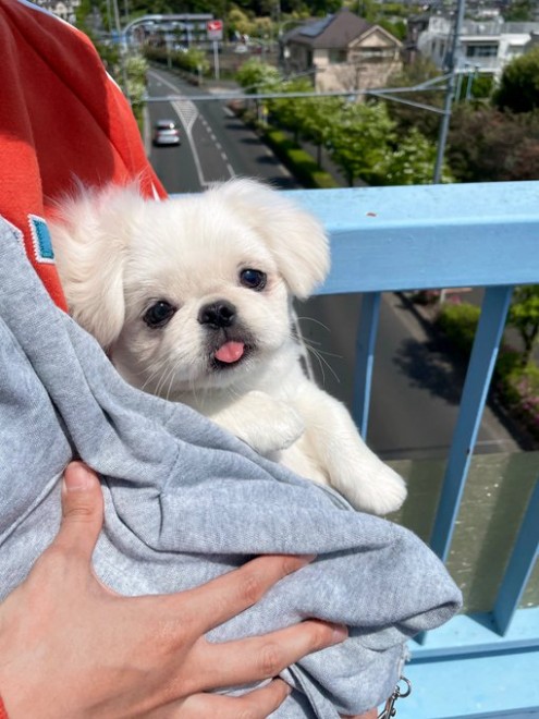 ����ȂɊO��|�����Ă��Ԃ����2�����ł���Ȃɂ��m���m����